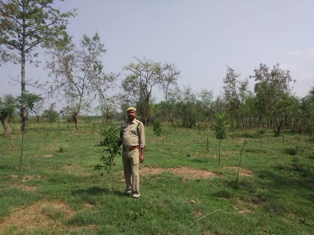 Forest Division Nalagarh