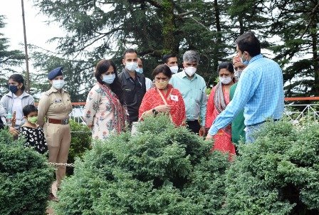 shimla-plantation-tatkalsamachar.com