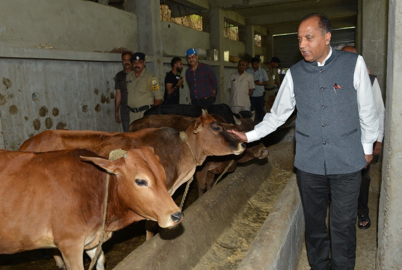 jairamthakur-cm-solan-shimla