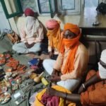 tatkal samachar-Criminals-Wild animals-