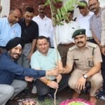 Five-thousand-saplings-Himachal-Pardesh-Sirmour-Tatkal-Samachar