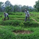 HP-Shiva-project-himachal-pradesh-hamirpur-tatkal-samachar