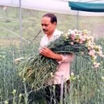 Kaltha-village-Himachal-Pardesh-Mandi-Tatkal-Samachar