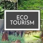 eco tourism-shimla news-tatkal samachar