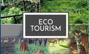 eco tourism-shimla news-tatkal samachar