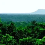 Green Adoption Scheme-himachal pradesh-tatkal samachar