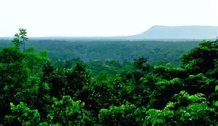 Green Adoption Scheme-himachal pradesh-tatkal samachar