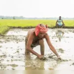 agricultural mechanization