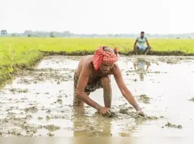 agricultural mechanization