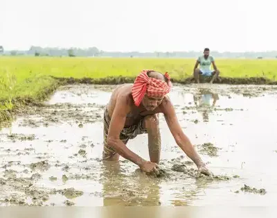 agricultural mechanization