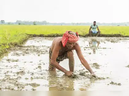 agricultural mechanization