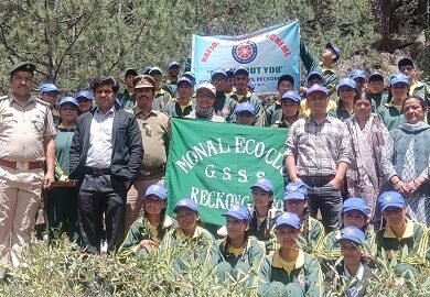 Plantation-awareness -