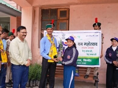 One Tree in the Name of Mother'.