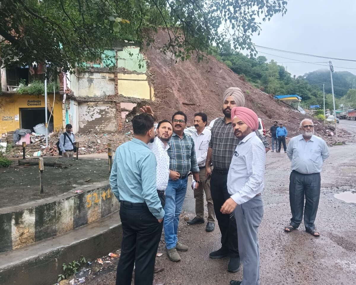 ancient trees -tatka samchar-shimla news