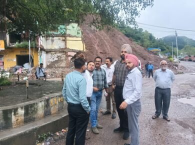 ancient trees -tatka samchar-shimla news