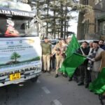 shimla-pine trees -tatkal samachar