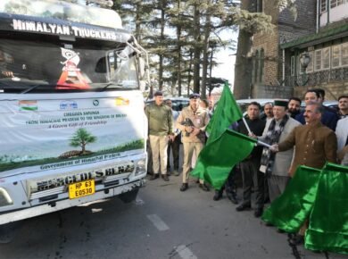 shimla-pine trees -tatkal samachar