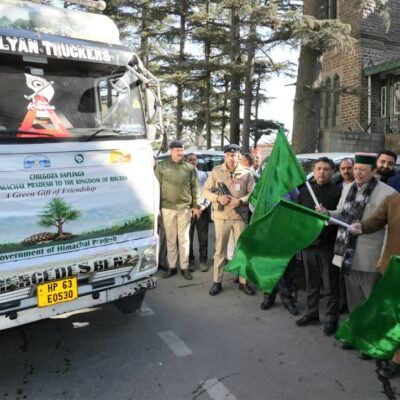 shimla-pine trees -tatkal samachar