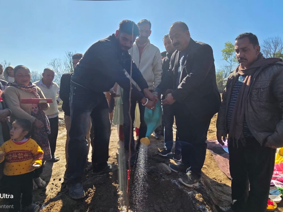 mandi-plantation-training-tatkal Samachar