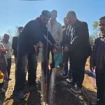 mandi-plantation-training-tatkal Samachar