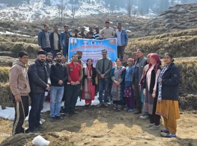 Mandi-Valley-Plantation-Mandi