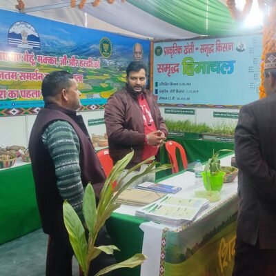 Natural-Farming-Awareness-Mandi