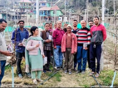 Apple Health -Management-Camp-Chamba-