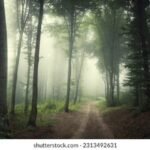 trees-protectors-destroyers-tatkal samachar