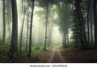 trees-protectors-destroyers-tatkal samachar