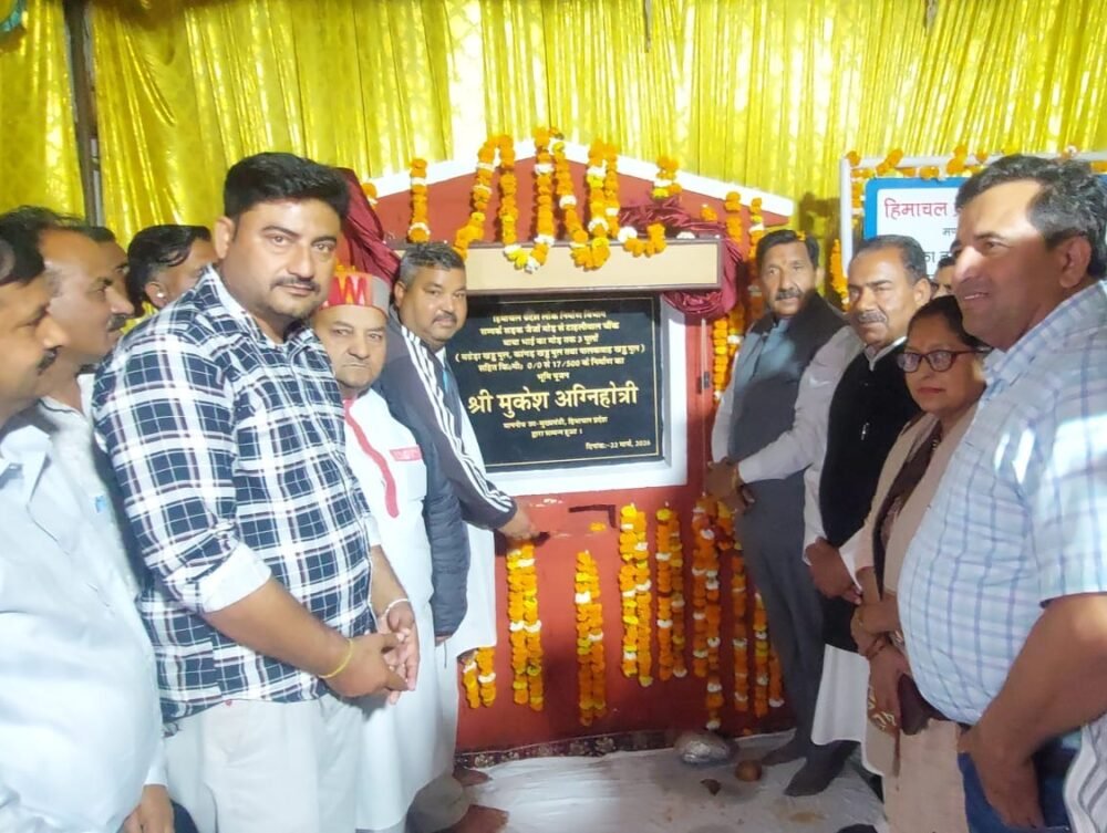 Haroli-₹600M-Projects-Una