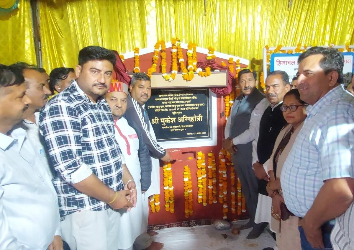 Haroli-₹600M-Projects-Una