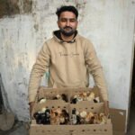 Backyard-Poultry-Employment-Sirmaur