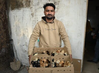 Backyard-Poultry-Employment-Sirmaur