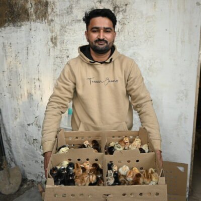 Backyard-Poultry-Employment-Sirmaur