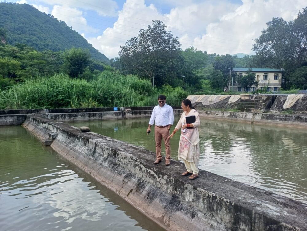 Mandi-News-fish farm-tatkal samachar