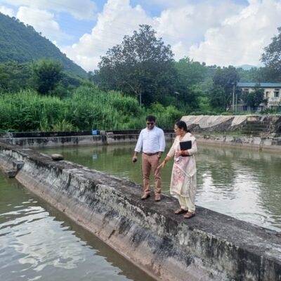 Mandi-News-fish farm-tatkal samachar