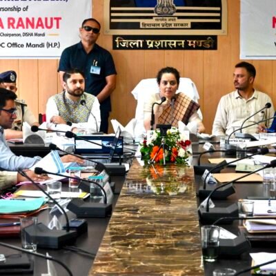 Mandi-News-A meeting of the District Development-tatkal samachar